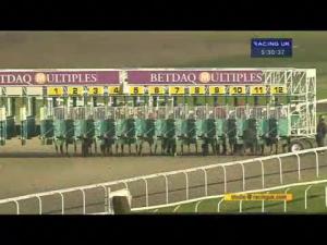 Video preview image for Kempton Park 17:30 - Back Or Lay At betdaq.com Handicap