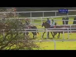Video preview image for Sandown Park 13:20 - London Southend Airport Juvenile Hurdle