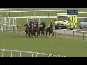 Video preview image for Haydock Park 13:45 - Betfred 'Goals Galore' Victor Ludorum Juvenile Hurdle