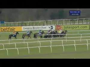 Video preview image for Huntingdon 16:00 - racinguk.com Mares' Novices' Hurdle
