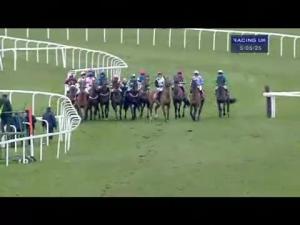 Video preview image for Sandown Park 17:05 - Hampton Court Standard Open NH Flat Race