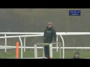 Video preview image for Wincanton 15:00 - Higos Insurance Services Handicap Chase