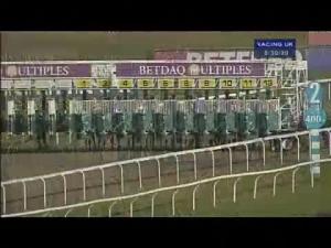 Video preview image for Kempton Park 20:30 - Mix Business With Pleasure At Kempton Handicap