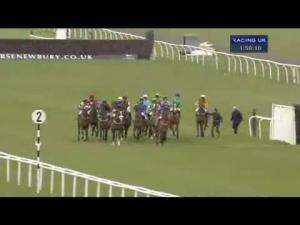 Video preview image for Newbury 13:50 - Floor V Davis Hl1979 Juvenile Hurdle