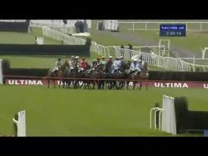 Video preview image for Newbury 15:30 - Zenergi Novices' Handicap Chase