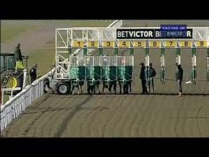 Video preview image for Kempton Park 14:40 - Mix Business With Pleasure Median Auction Maiden Stakes
