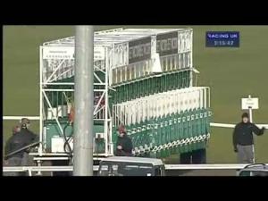 Video preview image for Kempton Park 15:15 - Get The BetVictor App Maiden Stakes