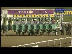 Video preview image for Kempton Park 18:00 - Win Big With Betdaq Multiples Median Auction Maiden Stakes