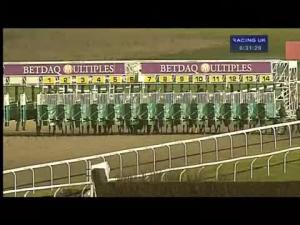 Video preview image for Kempton Park 18:30 - Back and Lay At betdaq.com Handicap