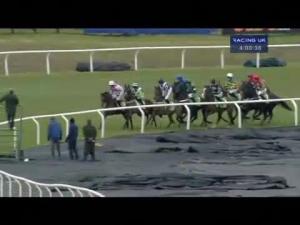 Video preview image for Cheltenham 15:20 - Stan James Champion Hurdle Challenge Trophy (Grade 1)