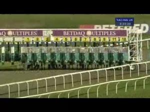 Video preview image for Kempton Park 20:20 - Bet Late At Cheltenham Handicap