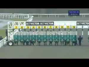 Video preview image for Kempton Park 17:20 - Goffs Ready To Win 27.03.13 Handicap