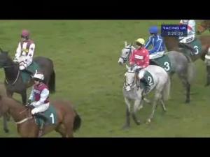 Video preview image for Warwick 14:25 - Mhm Plant Maiden Hurdle