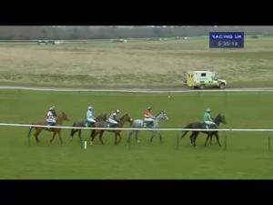Video preview image for Warwick 17:35 - Executive Hire Show Standard Open NH Flat Race