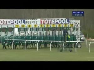 Video preview image for Musselburgh 16:55 - Kingsize Pools At totepool.com Handicap (Sunday 5K Bonus Race)