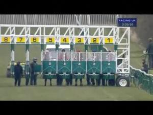 Video preview image for Warwick 14:20 - Turftv Selling Stakes