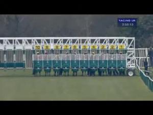 Video preview image for Warwick 14:50 - Turftv Handicap