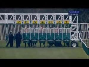 Video preview image for Warwick 15:20 - Follow Us On Twitter At Warwickraces Conditions Stakes