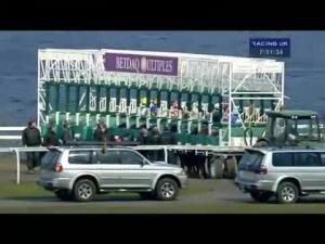 Video preview image for Kempton Park 19:30 - Winners Are Welcome At Betdaq Handicap
