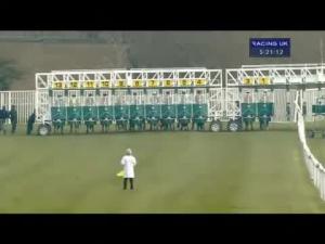 Video preview image for Catterick Bridge 17:20 - Go Racing In Yorkshire Handicap