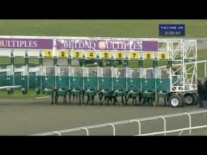 Video preview image for Kempton Park 18:30 - Mike The Knight 13.04.13 Median Auction Maiden Stakes