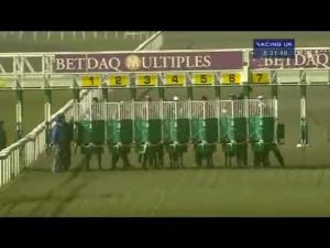 Video preview image for Kempton Park 20:30 - Winners Are Welcome At Betdaq Fillies' Handicap