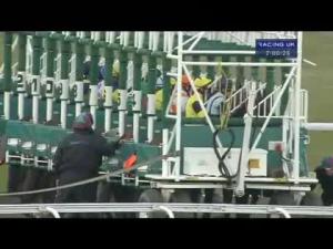 Video preview image for Kempton Park 19:00 - BetVictor Casino On Your Mobile Handicap (London Mile Qualifier)