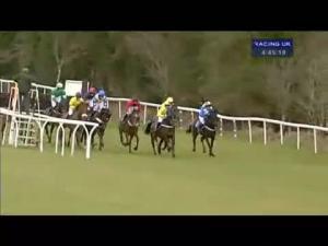 Video preview image for Exeter 16:45 - Higos For Your Commercial Insurance Needs Novices' Hunters' Chase