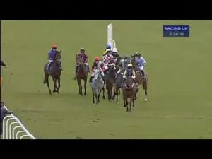 Video preview image for Exeter 17:20 - Connolly's Red Mills Bumper Challenge Intermediate Open NH Flat Race (Div 1)