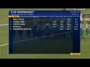 Video preview image for Newmarket 14:20 - equestrianartuk.com Conditions Stakes