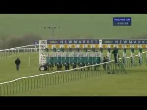 Video preview image for Newmarket 16:40 - Ebm-Papst Feilden Stakes (Listed)