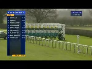 Video preview image for Beverley 16:55 - Buy Racehorses Online At racehorsetrader.com Handicap