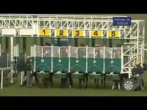 Video preview image for Beverley 17:25 - Sell Racehorses Online At racehorsetrader.com Handicap