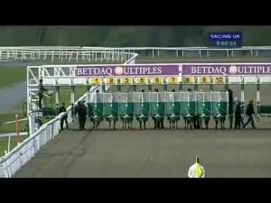 Video preview image for Kempton Park 20:00 - Betdaq 1st UK Race Commission Free-Everyday Handicap