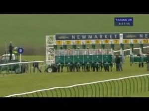 Video preview image for Newmarket 16:40 - Weatherbys Hamilton Insurance Earl Of Sefton Stakes (Group 3)