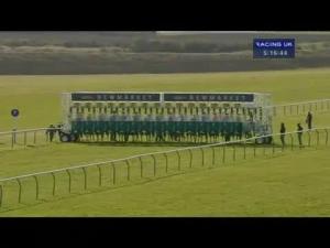 Video preview image for Newmarket 17:15 - Rossdales Maiden Fillies' Stakes