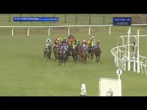 Video preview image for Cheltenham 17:25 - Endsleigh Insurance Mares' Standard Open NH Flat Race