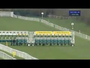 Video preview image for Newbury 15:40 - Compton Beauchamp Estates Ltd E.B.F. Maiden Stakes
