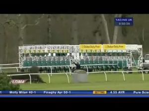 Video preview image for Newbury 16:45 - Whitley Stud Maiden Fillies' Stakes