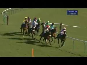 Video preview image for Ayr 16:55 - Alice Abbott 60th Birthday Standard Open NH Flat Race