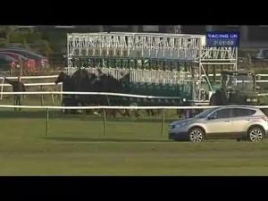 Video preview image for Nottingham 19:00 - Dick White Referrals Handicap