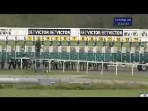 Video preview image for Kempton Park 14:50 - betvictor.com Median Auction Maiden Stakes