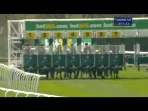 Video preview image for Sandown Park 14:10 - bet365.com Esher Cup (Handicap)