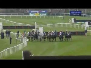 Video preview image for Sandown Park 14:05 - Bet365 Handicap Hurdle