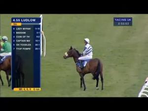 Video preview image for Ludlow 16:55 - Eddie Mapp Memorial Hunters' Chase (For The Ludlow Gold Cup)