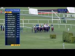 Video preview image for Cheltenham 20:20 - Cheltenham Collection Ladies' Hunters' Chase