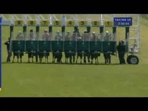 Video preview image for Redcar 14:30 - Enjoy Hospitality At Redcar Racecourse Selling Stakes