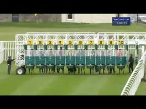 Video preview image for Musselburgh 14:00 - Brewin Dolphin Handicap