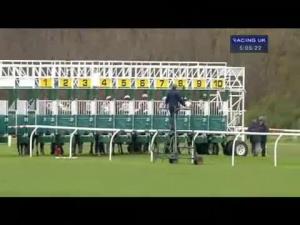 Video preview image for Musselburgh 17:05 - Oak Handicap (Div 1)