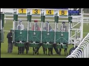 Video preview image for Goodwood 13:50 - Betfred TV E.B.F. Maiden Stakes